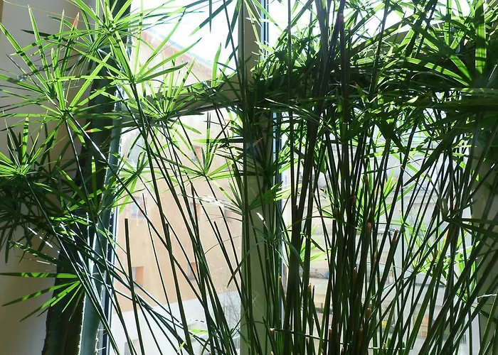 Ostello Torino Ostello *